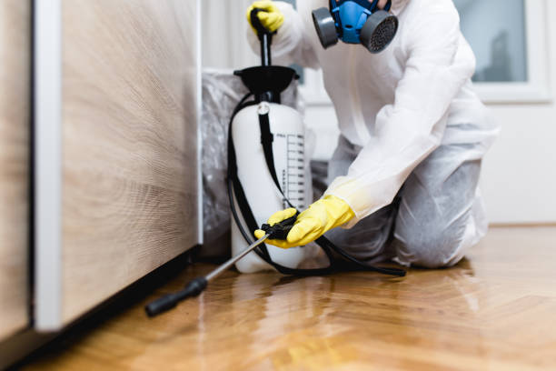Best Cockroach Control Services  in Park Forest, IL