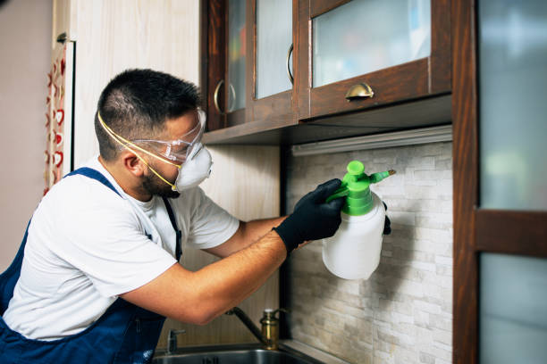 Best Commercial Pest Control Services  in Park Forest, IL