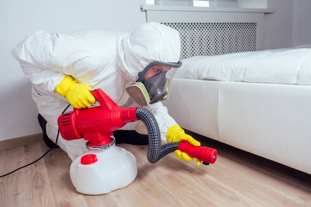 Best Affordable Pest Control Services  in Park Forest, IL