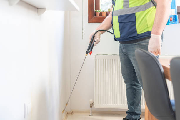 Best Rat Extermination Near Me  in Park Forest, IL