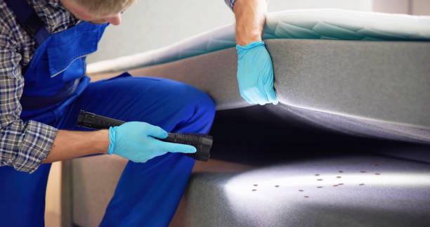 Reliable Park Forest, IL Pest Control Solutions