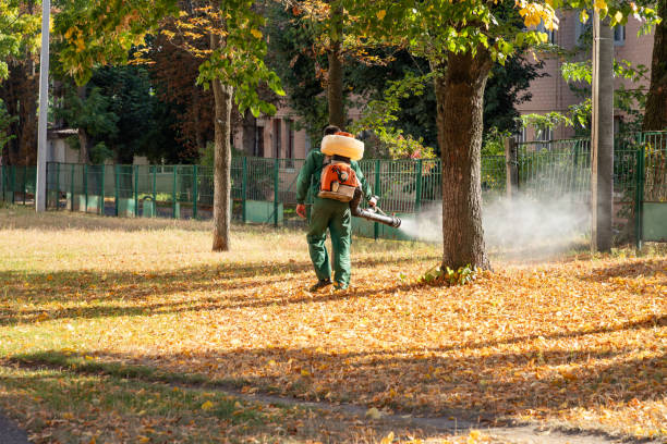 Best Local Pest Control Services  in Park Forest, IL