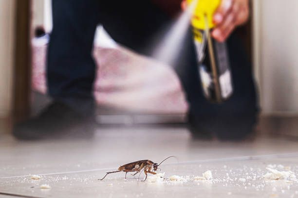 Best Exterminator Services  in Park Forest, IL