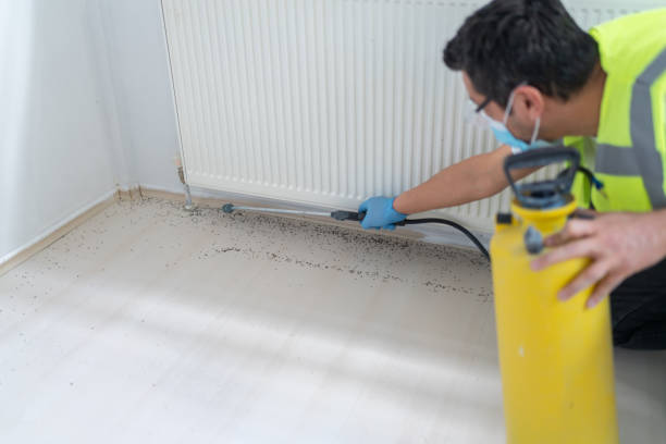 Best Affordable Pest Control Services  in Park Forest, IL