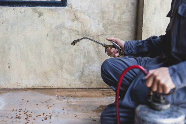 Best Mosquito Control Services  in Park Forest, IL